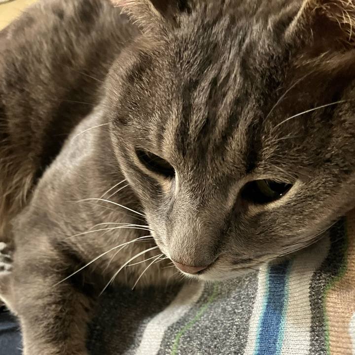 9a9b1eb2 1888 4ad6 8539 79c3004591c4 1749285703706