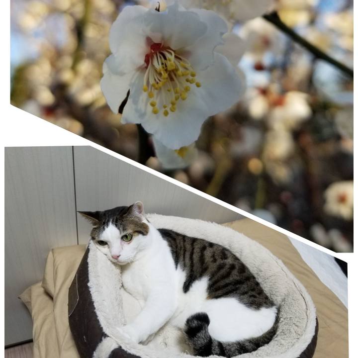 9a9b438e d23b 4ecb 8dd9 da1e35c18bf8 1613602240693