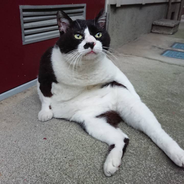 9a9b4b9d ee59 4046 ab17 b940d65d291c 1631607490521