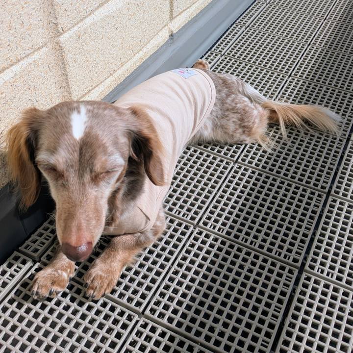 9a9b698c c078 408f 8a04 24453585ff19 1762574353184