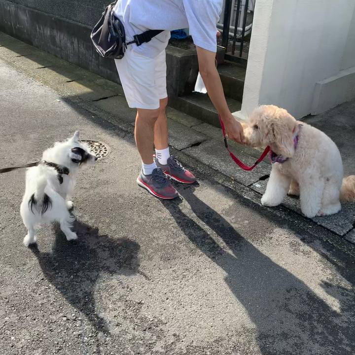 9a9b9777 6204 44a3 81d5 0d8d87be72b7 1663544152559