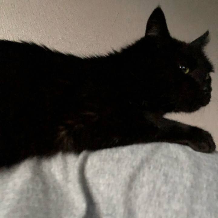 9a9bad51 36cd 4875 9394 5b823e7c1e9c 1597175147082