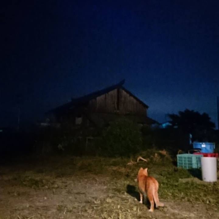 9a9c1986 ee46 4eb9 aba8 1a15aed1138a 1600594721034