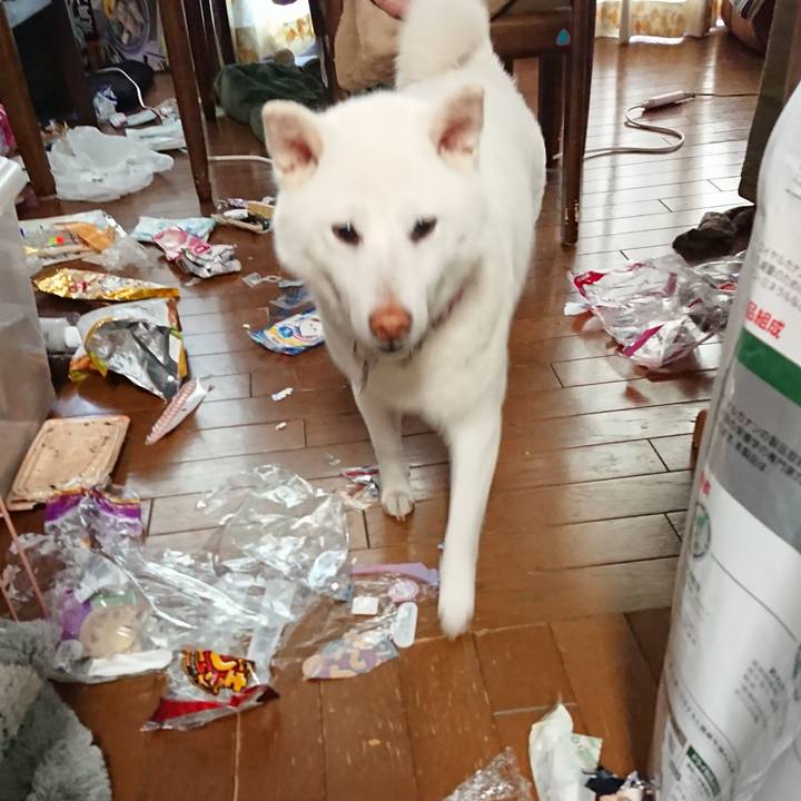 9a9c2acb 7a88 4af3 8b07 734a832ba18c 1597198668670