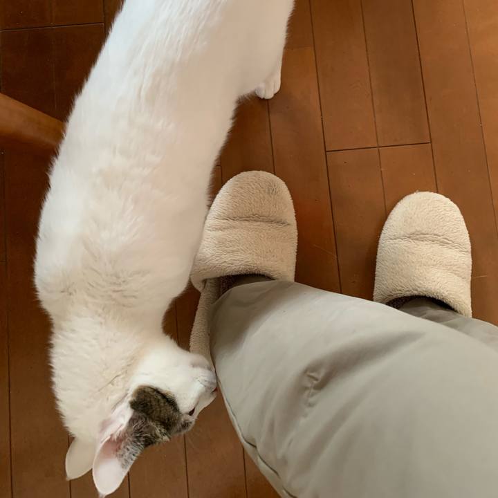 9a9c4bff eecd 43aa 895c 6406a4be9902 1615473578981