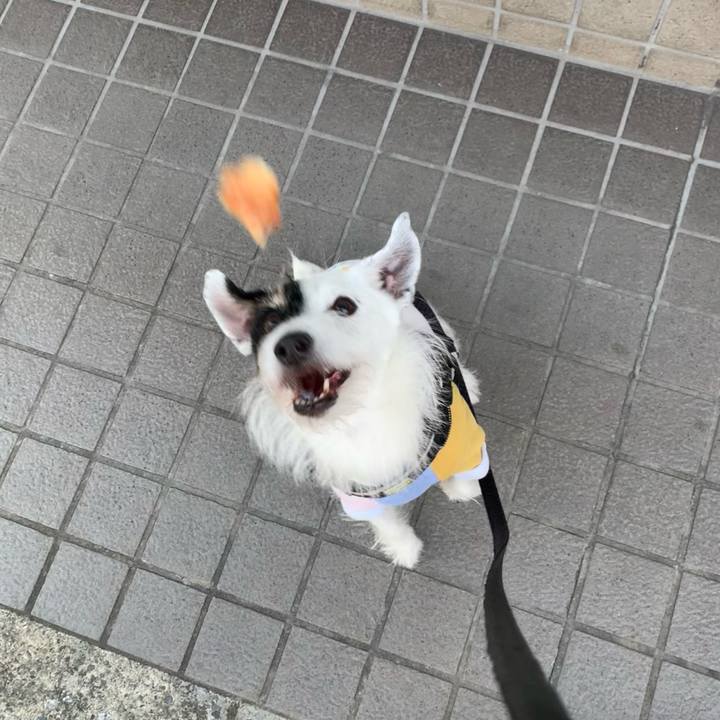 9a9c6672 3a32 424f 98b7 e1974d2d4fc4 1732839218398