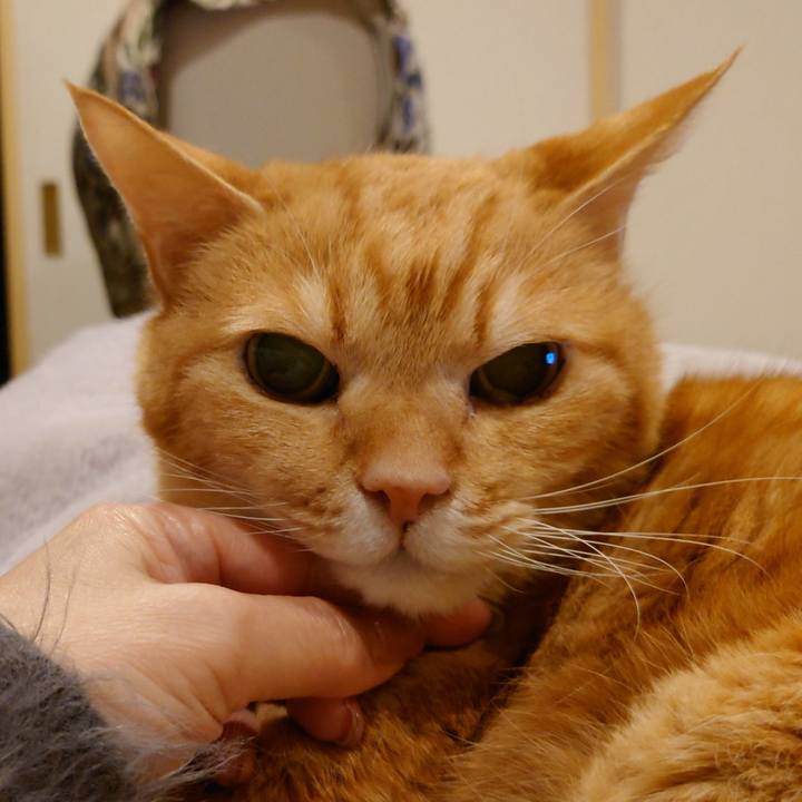 9a9c7a3d d660 48ba b636 9a957201f891 1742041965170