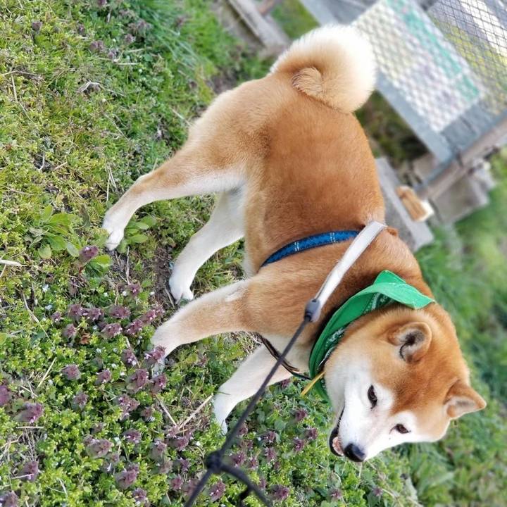 9a9c95e4 39ef 48a7 902e 2f099f97b936 1555400926066