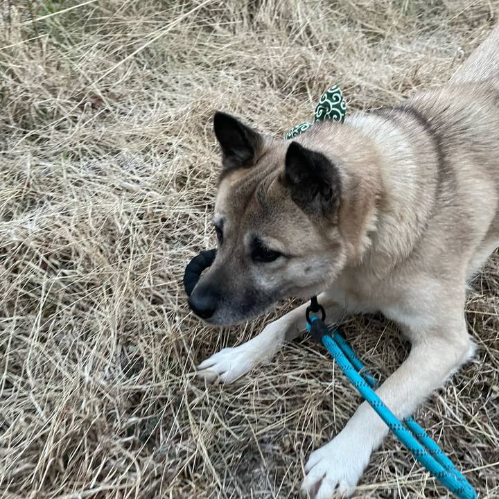 9a9cc744 4772 4803 8e9b f722079f47bf 1675257299107