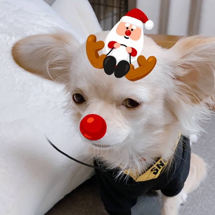 9a9d1c76 e51b 41a6 a461 0a114d41c6a3 1608776619538