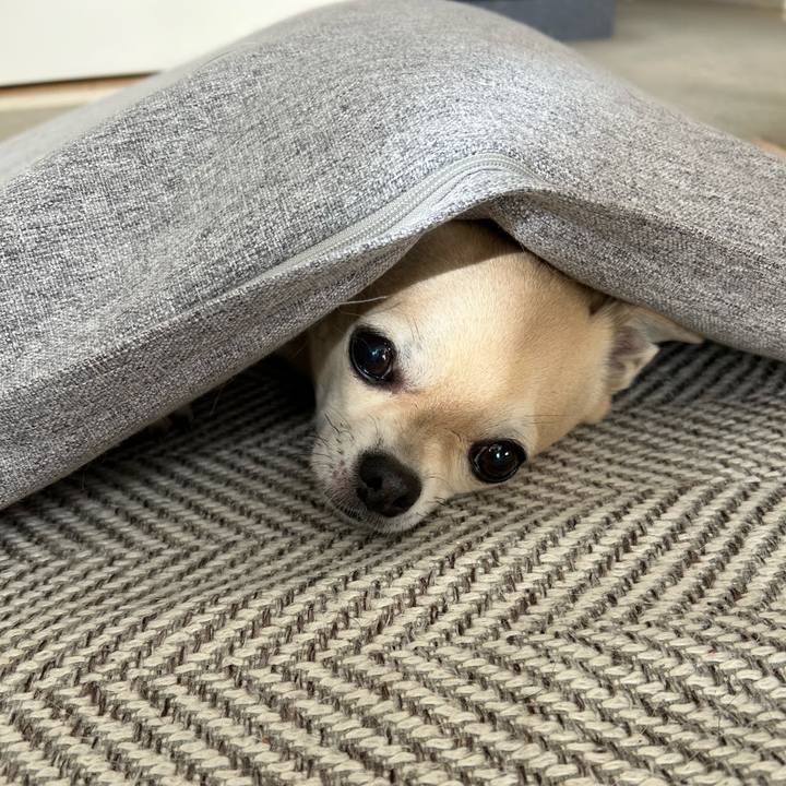 9a9d1f0a 04ac 4134 a591 62b879112b9c 1765696380843