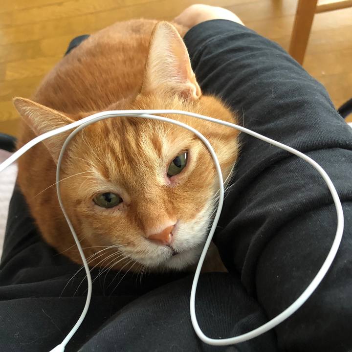 9a9d2114 d395 4613 9c35 1d04921f33fc 1707001340811