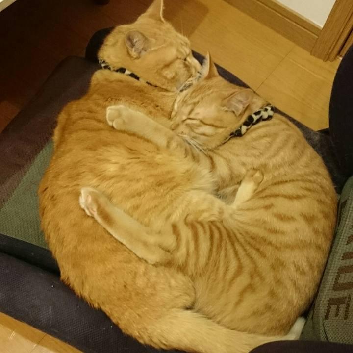 9a9d361b 8264 4f56 ba96 9c20302c2372 1552880759547