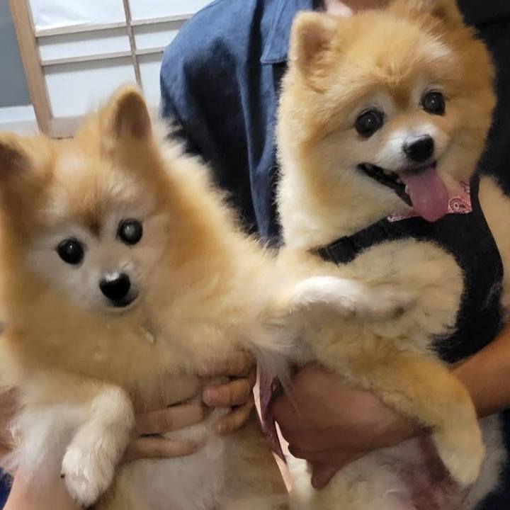 9a9d718b c690 472d 9b9f b29596c1e81b 1632232783495