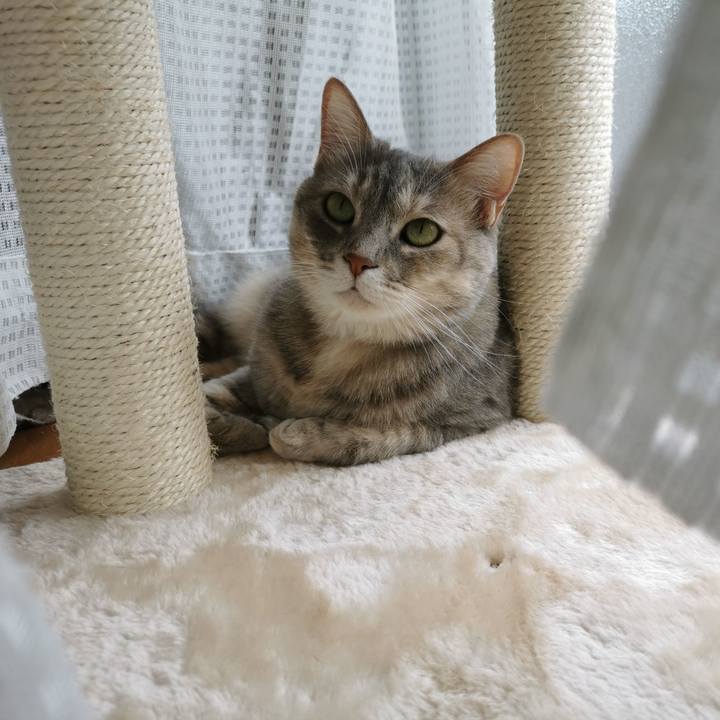 9a9d7b72 2735 4cbc 95da 14d3eaca9c06 1622966178826