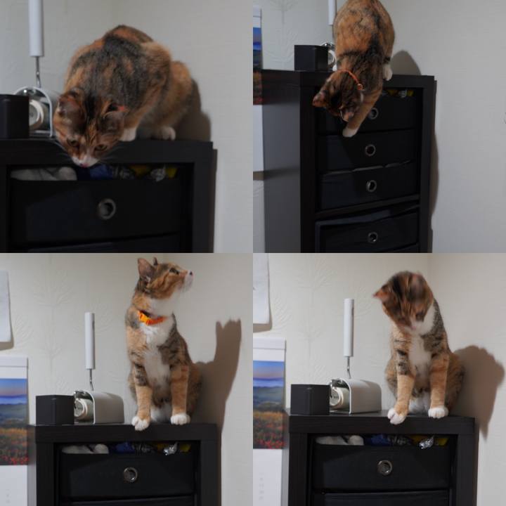 9a9d8617 c9fd 4eba 836b 4a6c2036b7b2 1593953333572