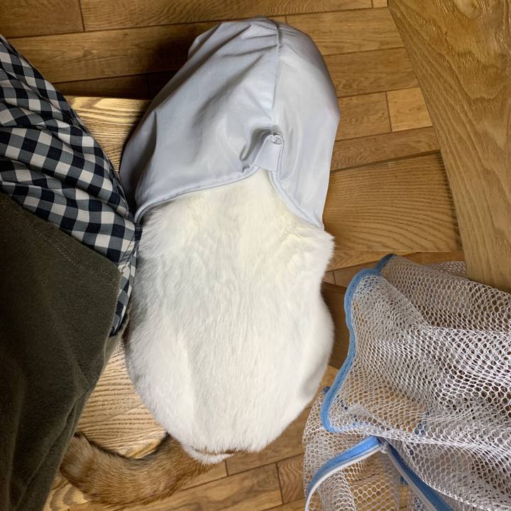 9a9d8aa2 dc5b 4c2f a107 7755916739dd 1650460943577