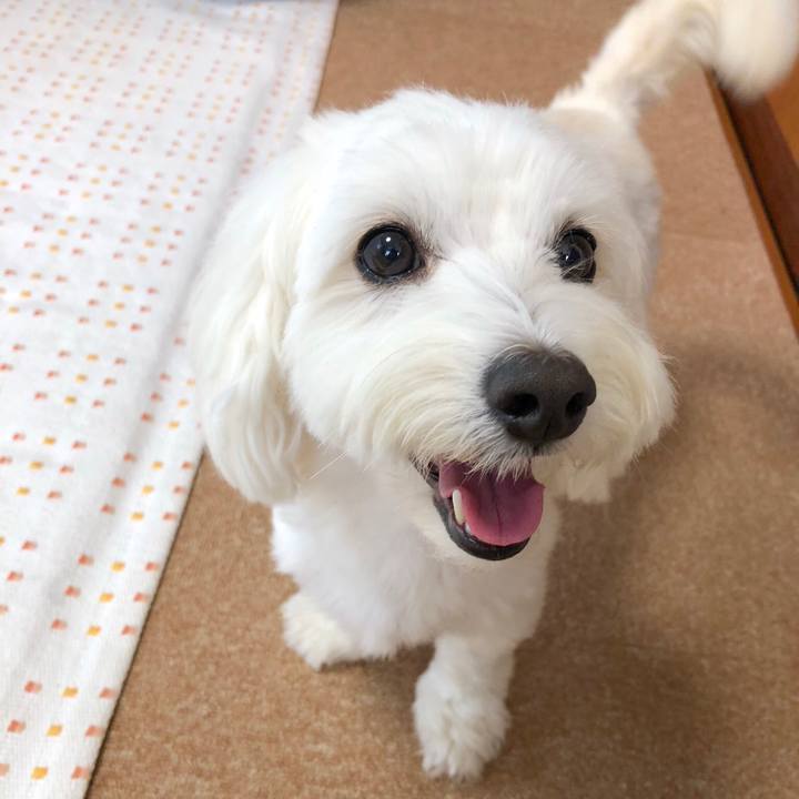 9a9d93ff df18 415d a240 ede77ad475c8 1533352132673