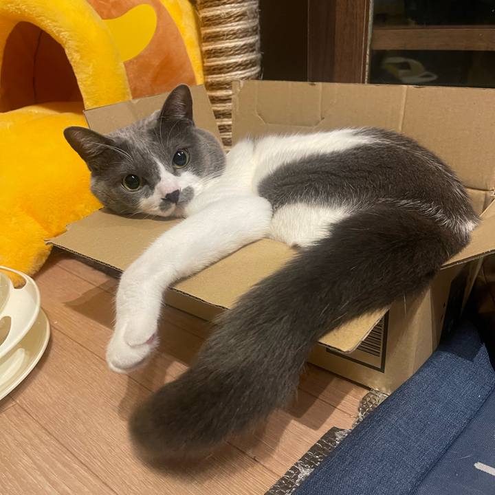 9a9d9c1b 1906 4deb a511 89491ba6f18d 1701190551028