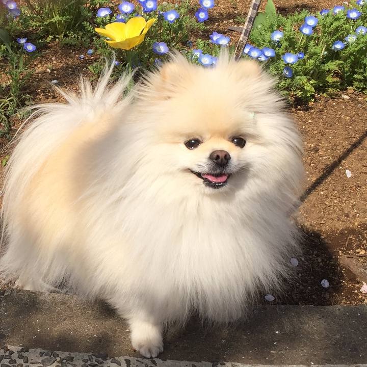 9a9dab2e 9f3e 4ab7 89bf 8d8a7241604a 1616735525534