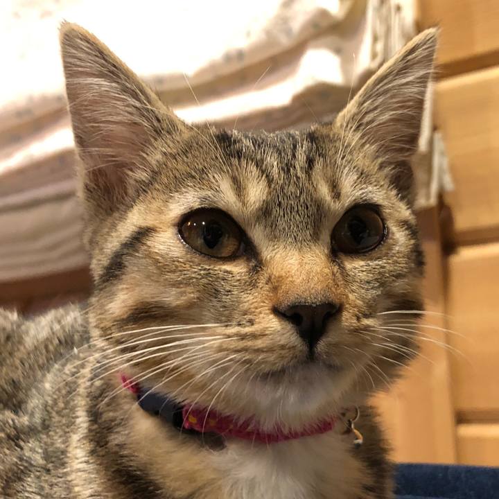 9a9deb03 c30c 44cc 9657 3500b6e1dfcb 1550326792709