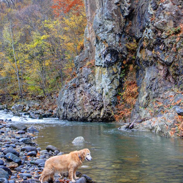 9a9dfcd7 4dda 485b 9f95 18893bc5e7f0 1763281751014