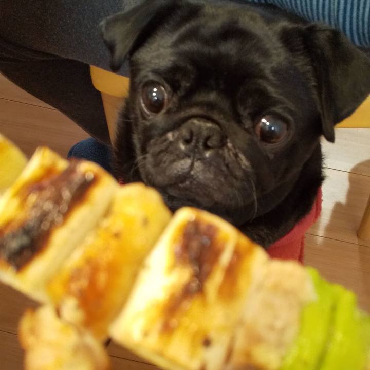 9a9dfd6a 7f7a 41f9 9c64 70c1db0be0ce 1606040836123