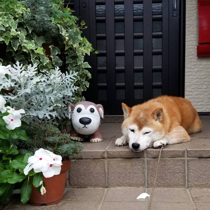 9a9e88f3 b2dc 4649 be99 06f95dcd7d68 1660967019876