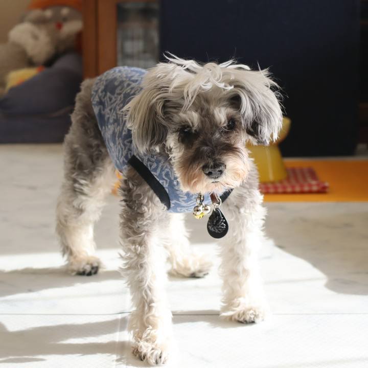 9a9e916c b822 4966 afca aa5b07837427 1774345687473