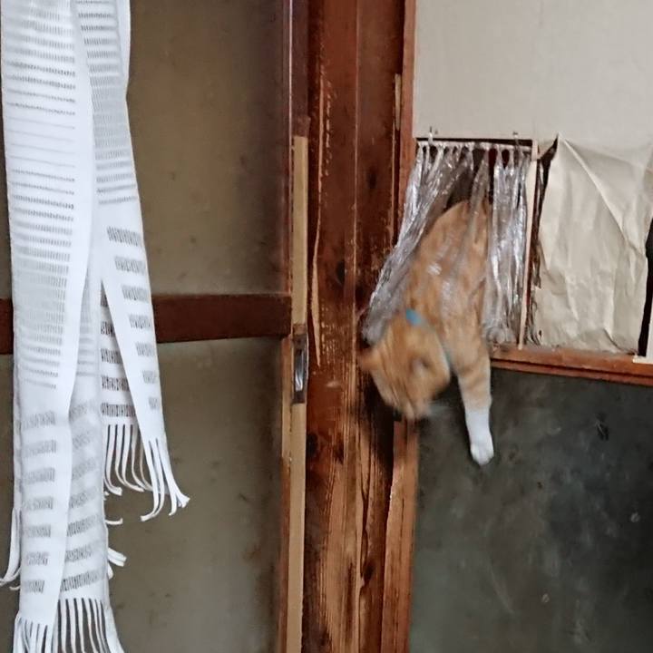 9a9f6465 d672 44bc bce1 d21eaaf207fc 1555926078065