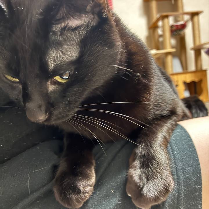 9a9fb01b 29c9 424a bf6d 6d6d74c75e26 1773839995391