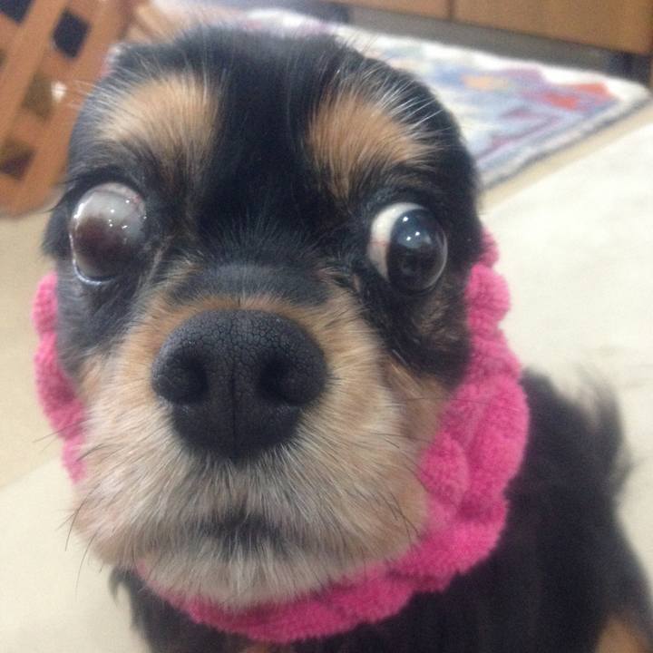 9a9fbf8a d5f9 4822 8c90 9f41a372e16e 1523351894876