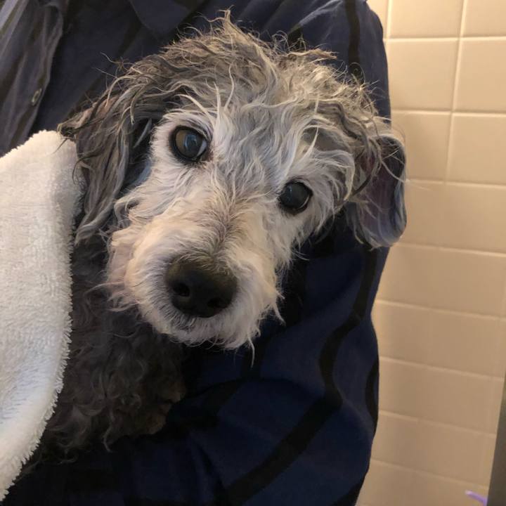 9a9fc1c5 4c54 4fc5 94db 6848d184e559 1556606963649