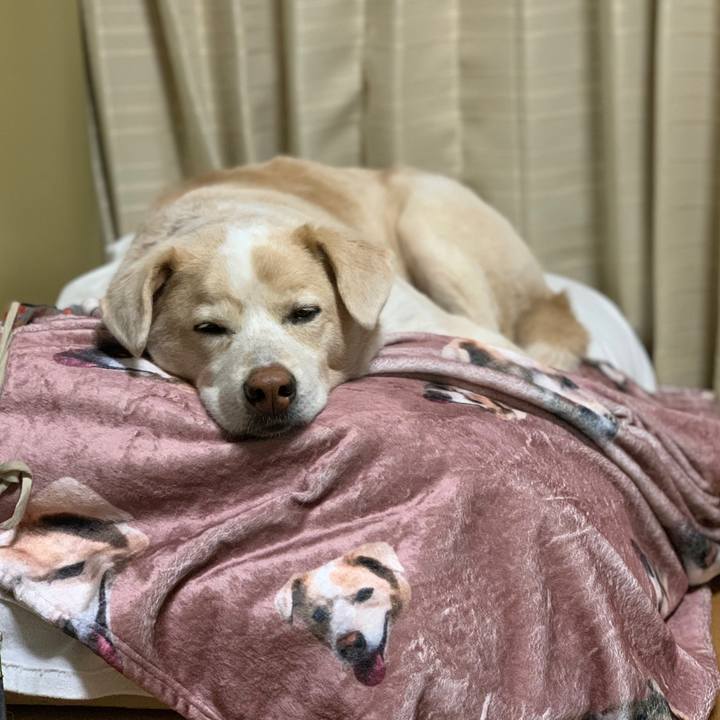 9a9fc882 df9a 45c4 a66a c0a44cf96362 1610016808713