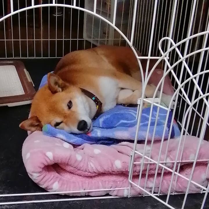 9a9fdcfc 1b73 4e2d b4e3 926c42bcff4e 1588560694444