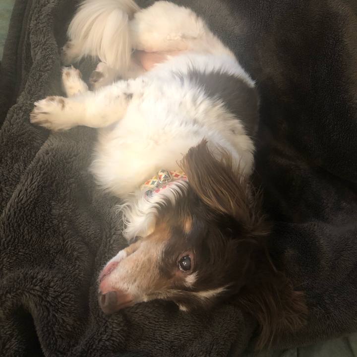 9aa00cd1 9a83 405d bf24 0eaa14158290 1587431958606