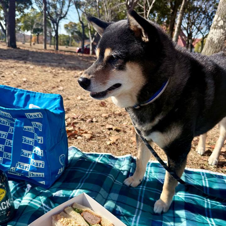 9aa06790 2937 4aeb 84a9 56759e3658ca 1765067644378