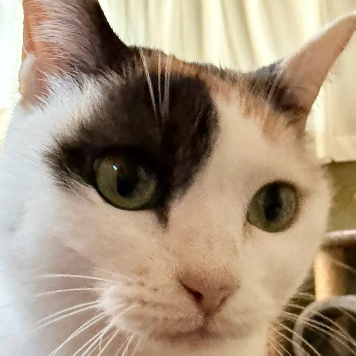 9aa09d8e 86ae 4306 bdbe 342b5a344c76 1769219964050