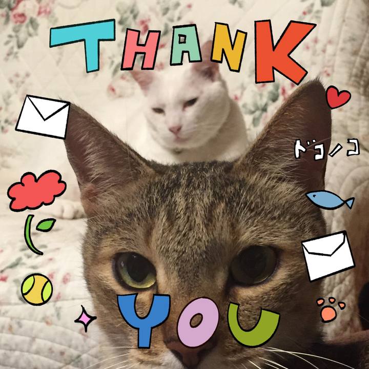 9aa0ad8a 7f10 4308 b5e0 d7d25d2caa53 1715092283358