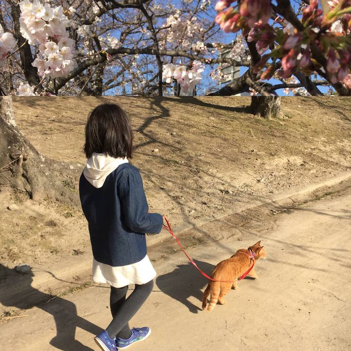 9aa10788 becf 4167 8107 808a50122772 1521903620788