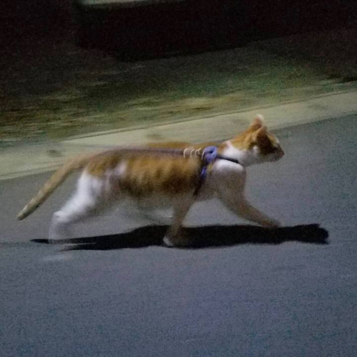 9aa13466 d8c9 45e8 936a 6d807c660c8c 1512727416467