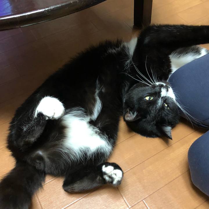 9aa158c1 8ca5 4771 989f cf6785af14b8 1519535978403