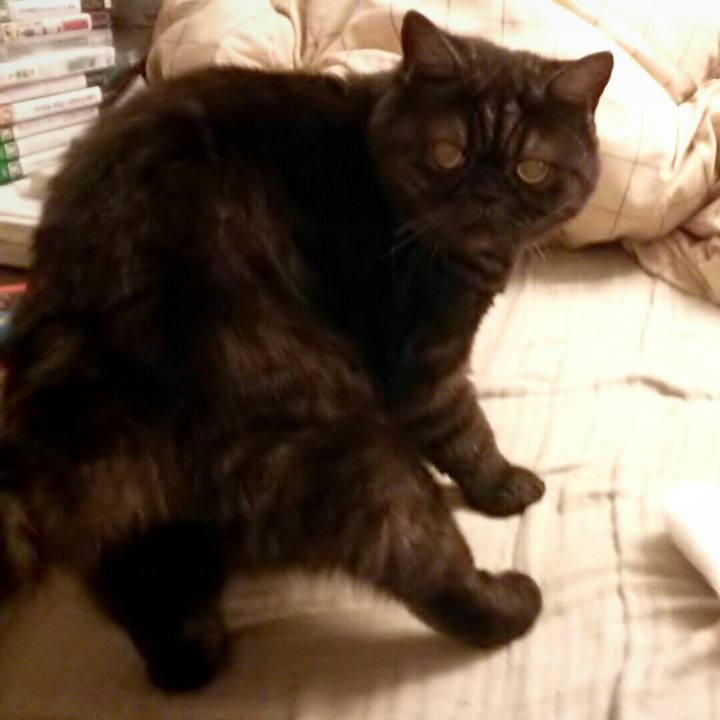 9aa1a7a6 4e42 4b82 a3e9 41f60dcdac8f 1509312536616