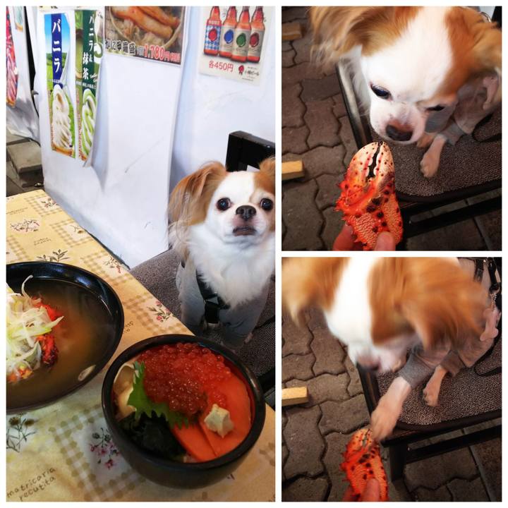 9aa1fa18 cc2c 493b 8223 1f667b1bfa36 1696255090039