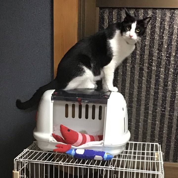 9aa250d1 0a02 4e36 92d8 eeb2fa4b836d 1722252072476