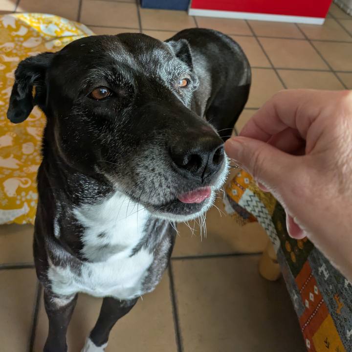 9aa25323 b633 4471 8a79 e9ca3bc3c3cc 1737073664990