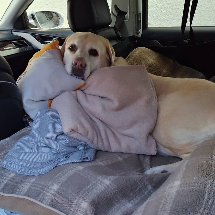 9aa26472 8a8e 48fb 97a6 ace6be8b41a5 1766719238824