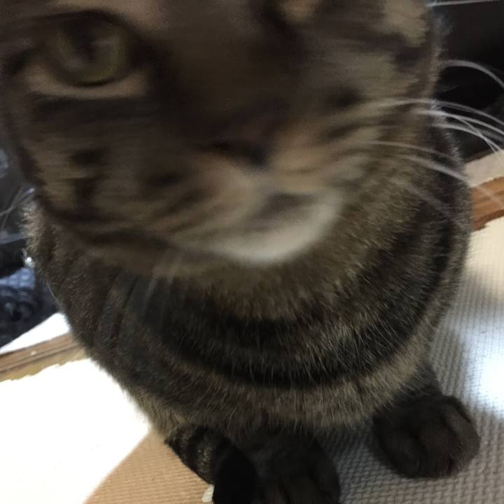 9aa279c6 57f8 4fe7 98e2 4ddc0871dbe7 1512732771742