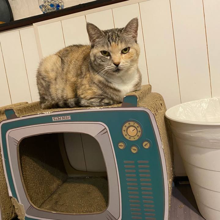 9aa297b7 14a5 49bd 9d80 82d99f47b1e0 1665931968053