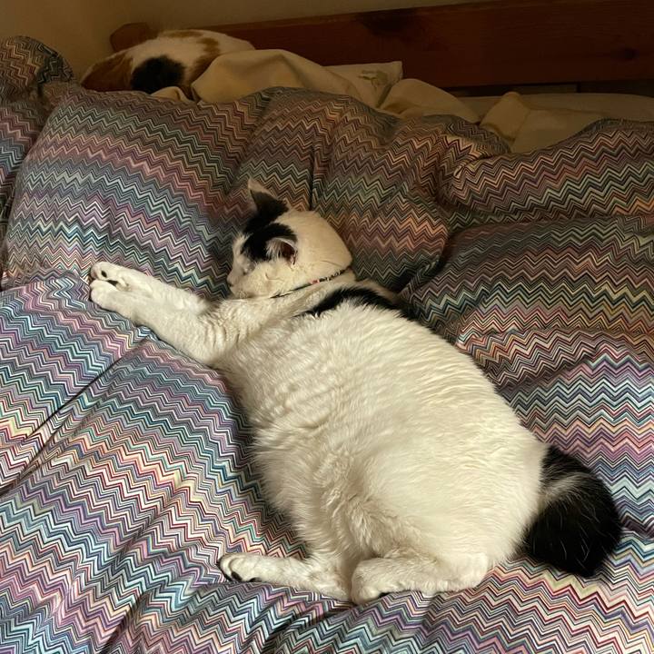 9aa2be9c ebcc 4fcf a2e9 1d5bfa35a14e 1642510818429